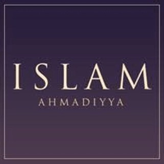 Haftalık Bülten – 18 Şubat 2026